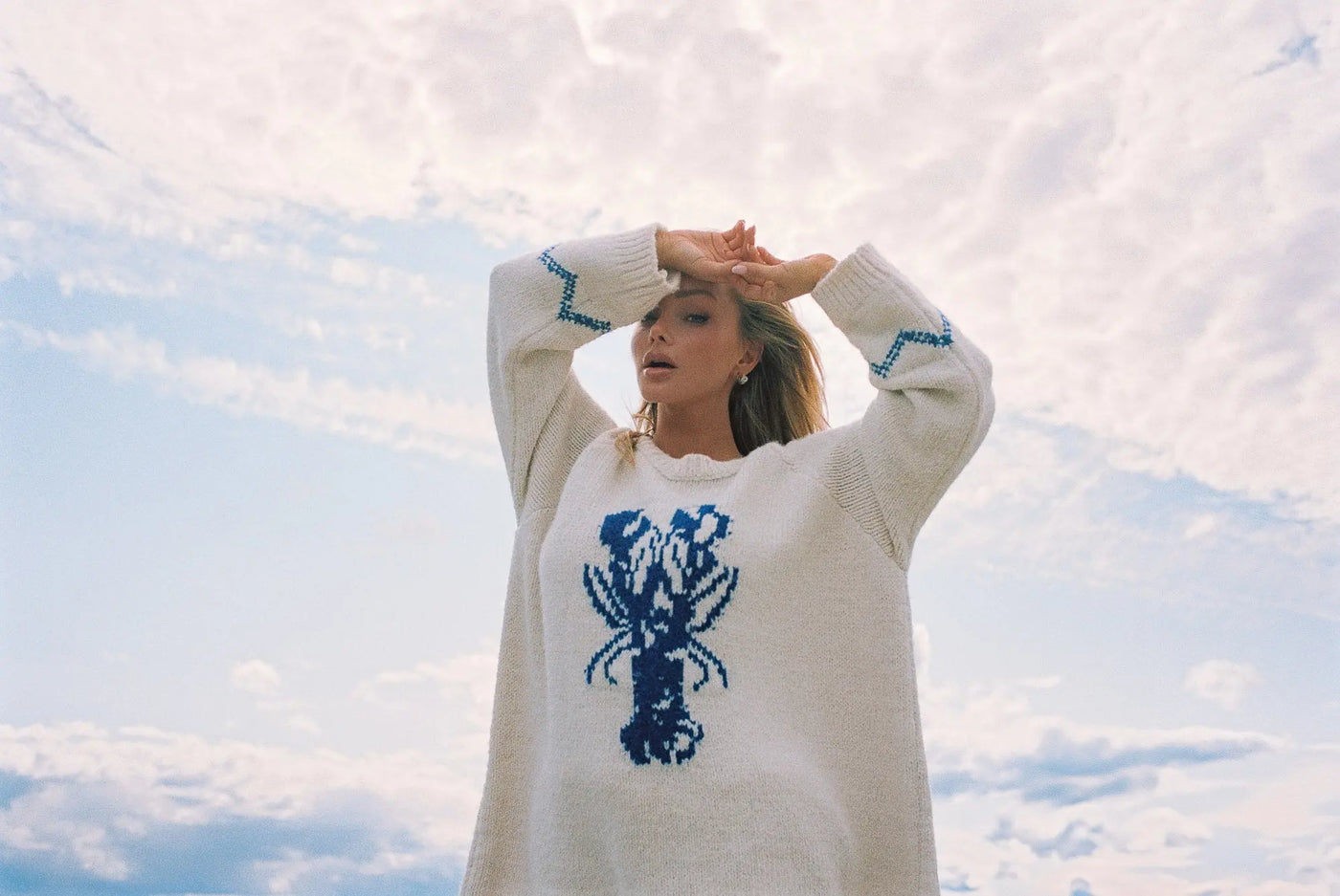 Crayfish Knit Sweater