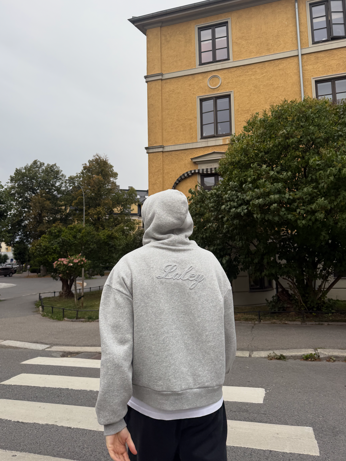 Back Logo Hoodie (grå)